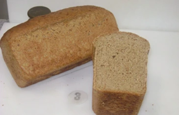 bakproeven.jpg