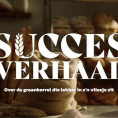 Succesverhaal 1