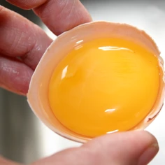 omelet.jpg