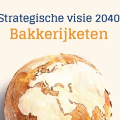 Strategische Visie Nws (1)