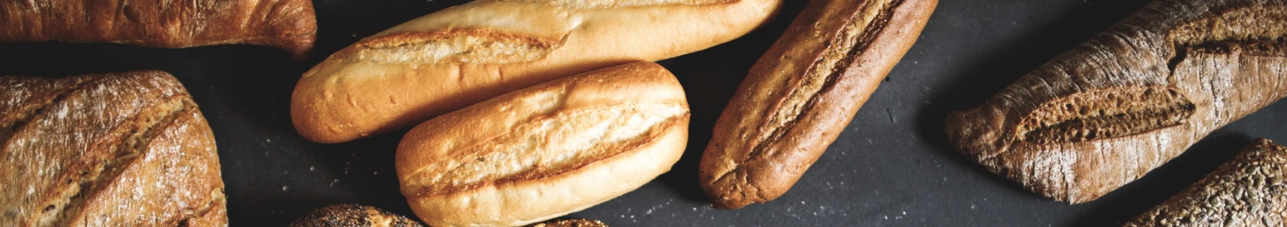 Brood Header 0