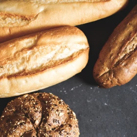 Brood Header 0 Brood Header 0