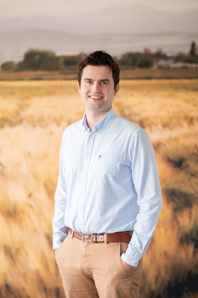 Dosschemills Inedehandschutter 3