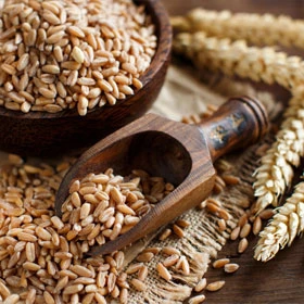 spelt-280x280.jpg spelt-280x280.jpg