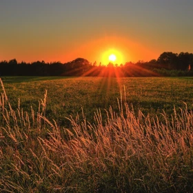 brown-and-green-grass-field-during-sunset-1237119.jpg brown-and-green-grass-field-during-sunset-1237119.jpg
