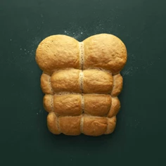 Torso