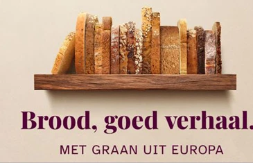 Brood Keyvisual Verkleind